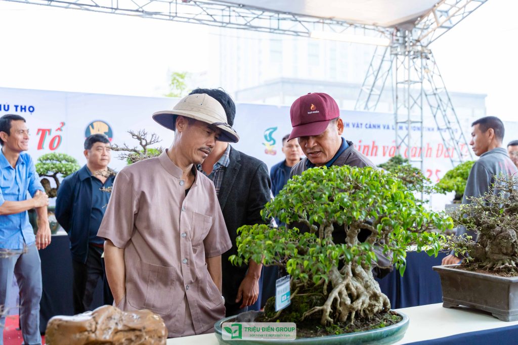 Thiết kế thi công sân vườn trọn gói tại hà nội