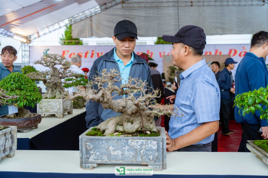 Thiết kế thi công sân vườn trọn gói tại hà nội