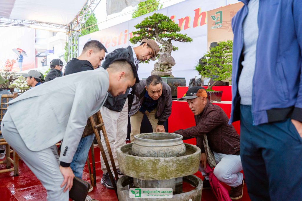 Thiết kế thi công sân vườn trọn gói tại hà nội