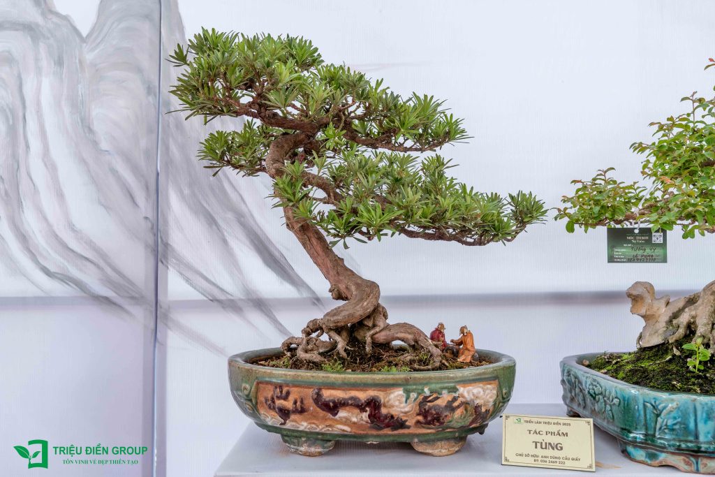 Thiết kế thi công sân vườn trọn gói tại hà nội