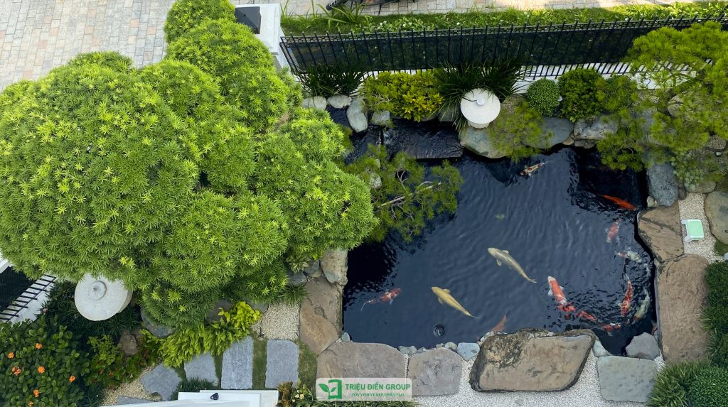 Sân vườn đẹp tại Hải Phòng – Ý tưởng thiết kế phù hợp khí hậu và phong cách sống 8 Thiết kế thi công sân vườn trọn gói tại hà nội