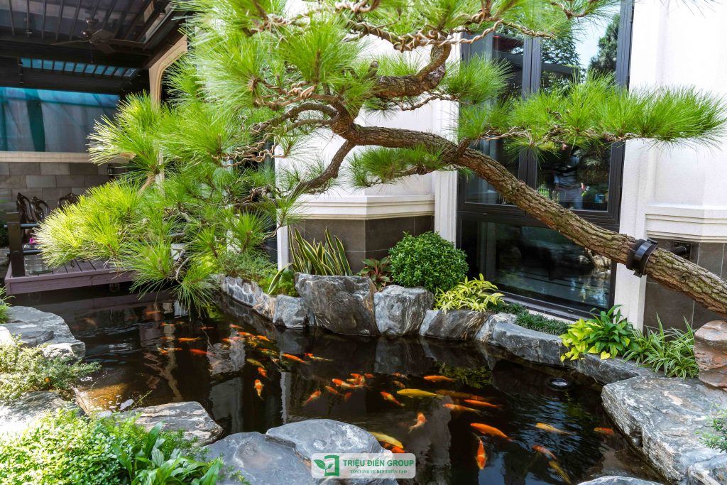 Thiết kế thi công sân vườn trọn gói tại hà nội