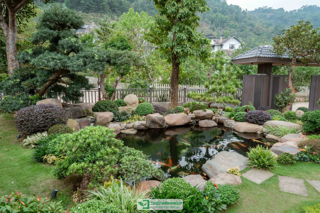 Thiết kế thi công sân vườn trọn gói tại hà nội