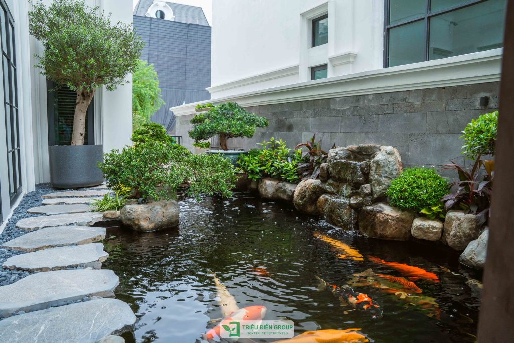 Thiết kế thi công sân vườn trọn gói tại hà nội