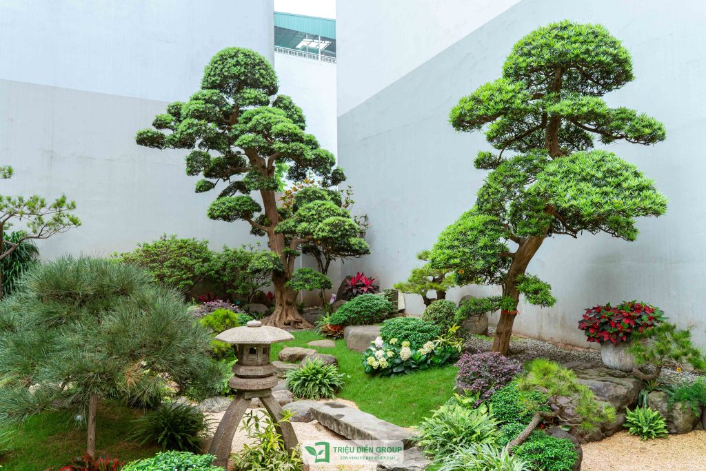 Sân vườn đẹp tại Hải Phòng – Ý tưởng thiết kế phù hợp khí hậu và phong cách sống 6 Thiết kế thi công sân vườn trọn gói tại hà nội