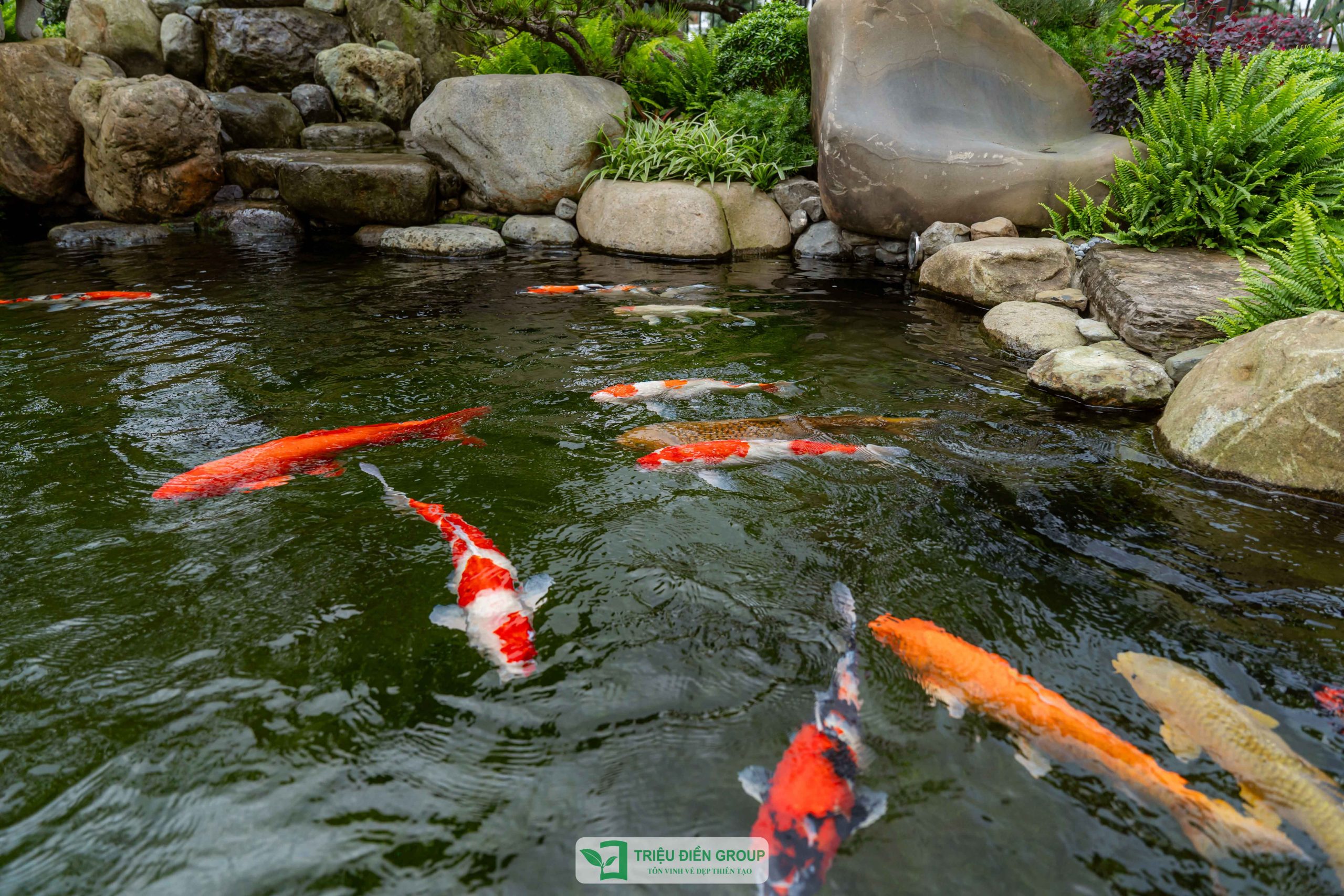 Thiết kế thi công sân vườn trọn gói tại hà nội