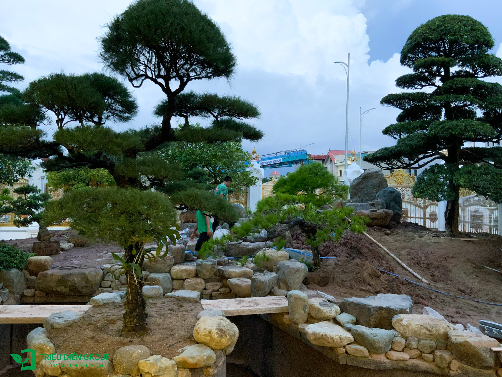 Thi công hồ cá Koi: Công nghệ lọc nào phù hợp khí hậu Việt Nam?