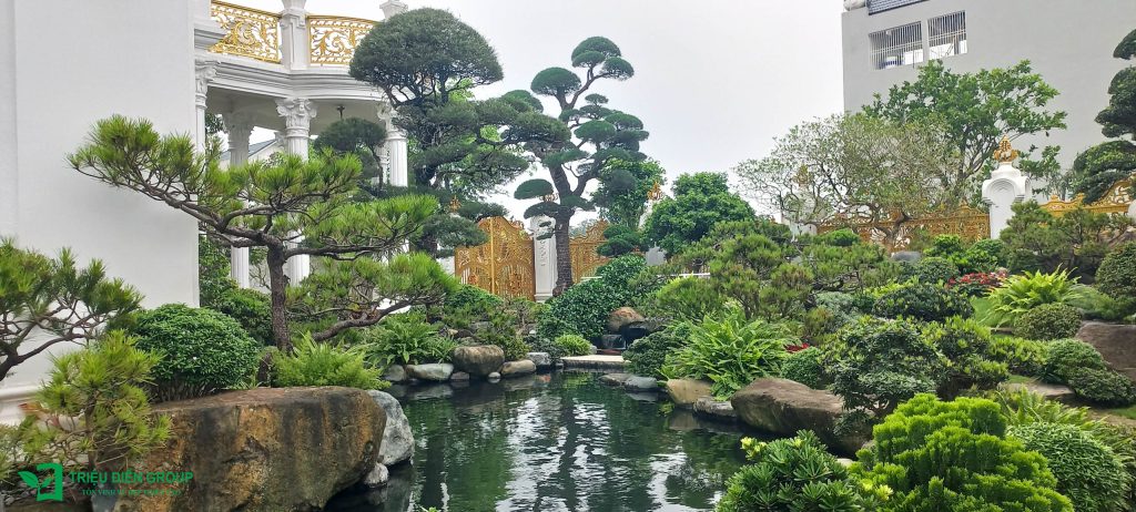 Thiết kế thi công sân vườn trọn gói tại hà nội