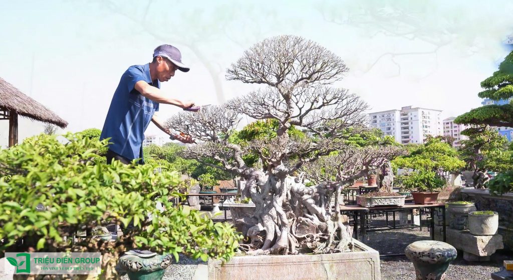 Thiết kế thi công sân vườn trọn gói tại hà nội