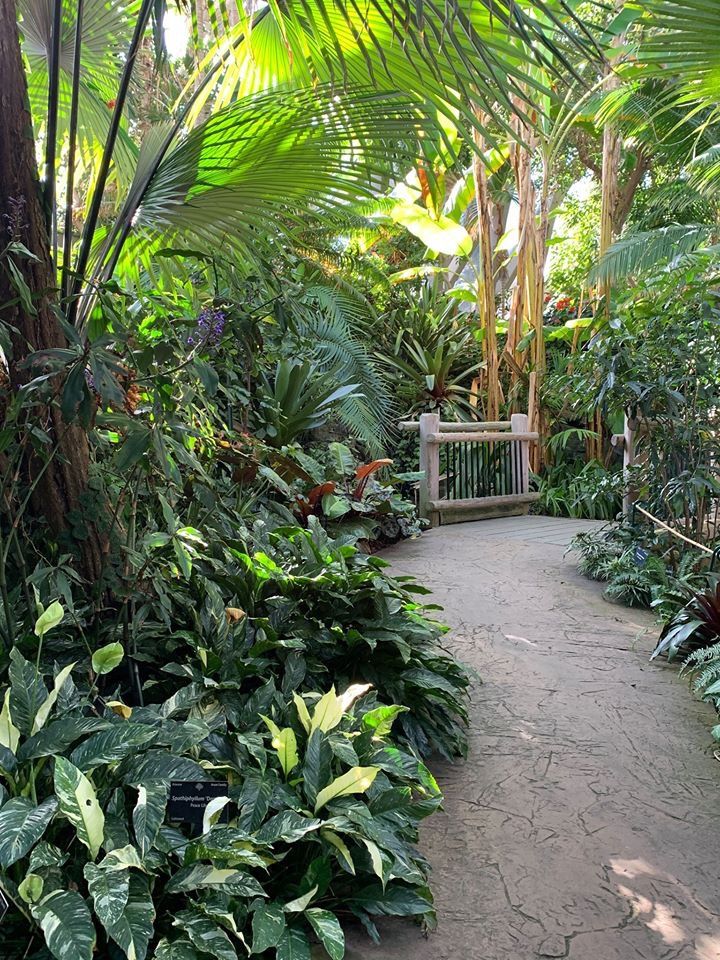 Thiết kế thi công sân vườn trọn gói tại hà nội