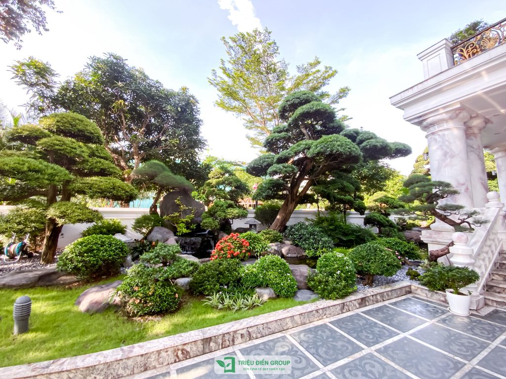 Thiết kế thi công sân vườn trọn gói tại hà nội