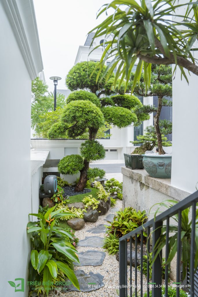 Thiết kế thi công sân vườn trọn gói tại hà nội