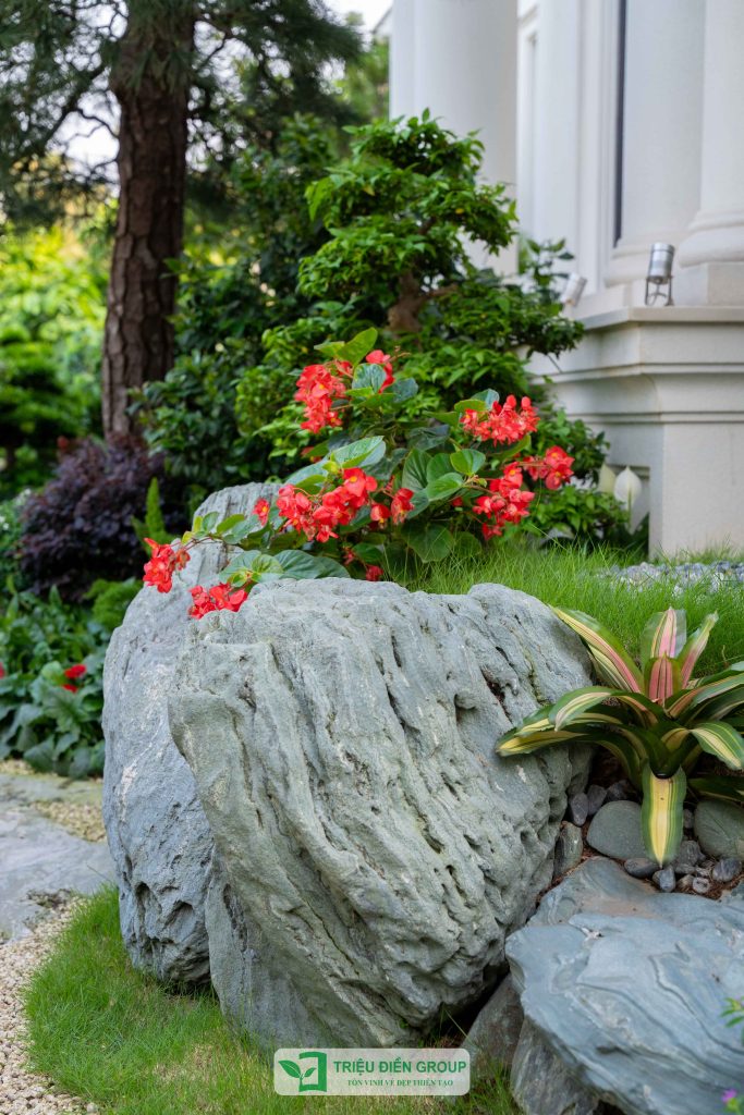 Đá xanh Nhật Bản - Vẻ đẹp tự nhiên cho cảnh quan sân vườn 3 Thiết kế thi công sân vườn trọn gói tại hà nội