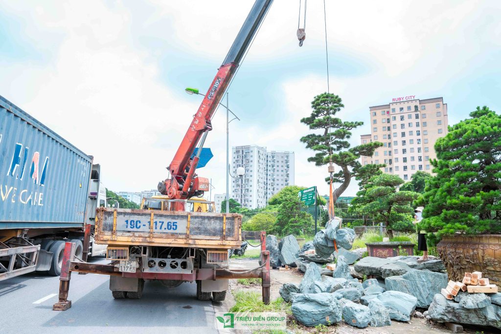 Đá xanh Nhật Bản - Vẻ đẹp tự nhiên cho cảnh quan sân vườn 8 Thiết kế thi công sân vườn trọn gói tại hà nội