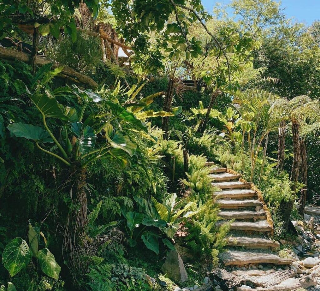 Thiết kế thi công sân vườn trọn gói tại hà nội