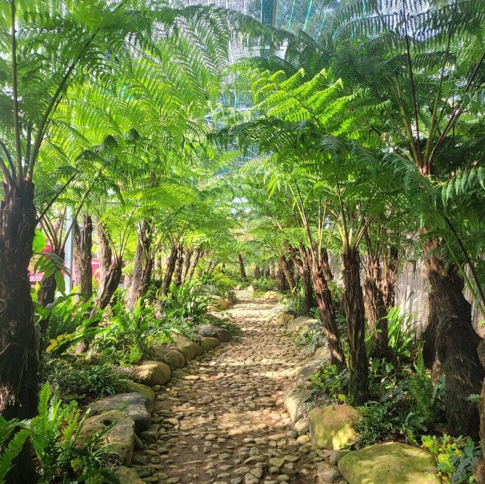 Thiết kế thi công sân vườn trọn gói tại hà nội