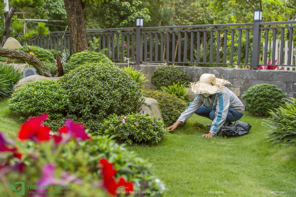 Thiết kế thi công sân vườn trọn gói tại hà nội