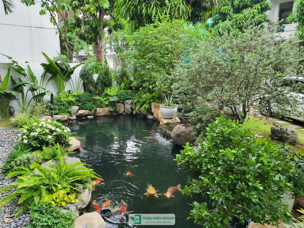 Giải pháp thiết kế sân vườn biệt thự đẹp tại Ecopark – Tinh tế, hiện đại và khác biệt 11 Thiết kế thi công sân vườn trọn gói tại hà nội