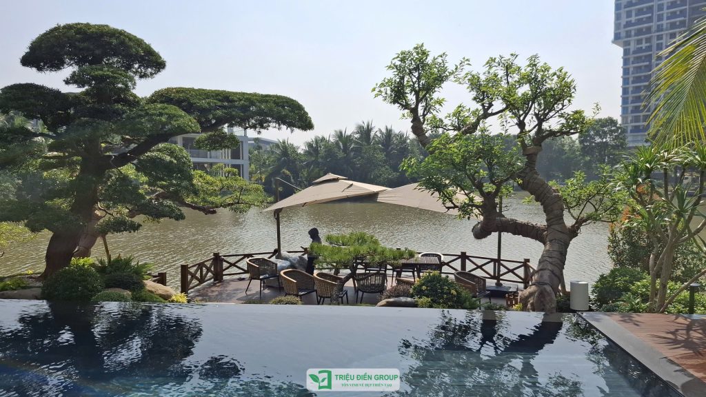 Thi công sân vườn tại T.P Hồ Chí Minh trọn gói - Báo giá chi tiết 2026 26 Thiết kế thi công sân vườn trọn gói tại hà nội