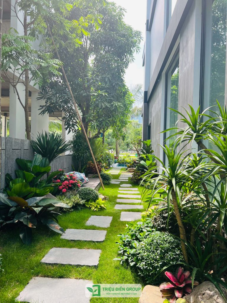 Thi công sân vườn tại T.P Hồ Chí Minh trọn gói - Báo giá chi tiết 2026 31 Thiết kế thi công sân vườn trọn gói tại hà nội