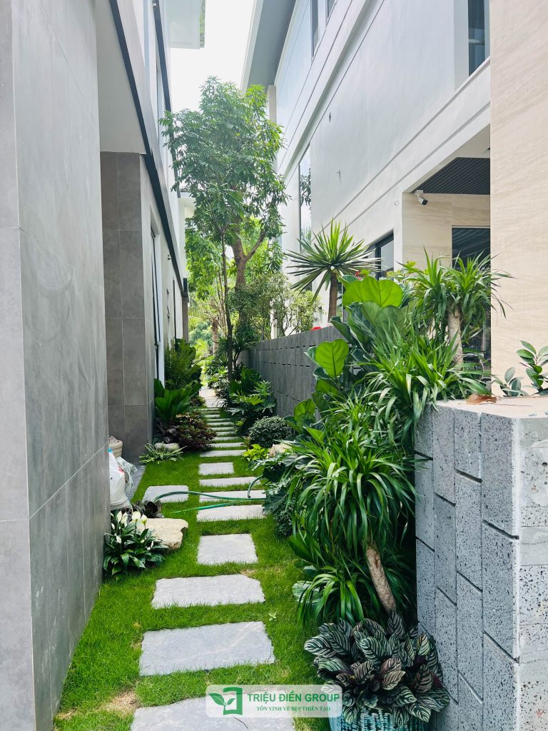 Giải pháp thiết kế sân vườn biệt thự đẹp tại Ecopark – Tinh tế, hiện đại và khác biệt 9 Thiết kế thi công sân vườn trọn gói tại hà nội