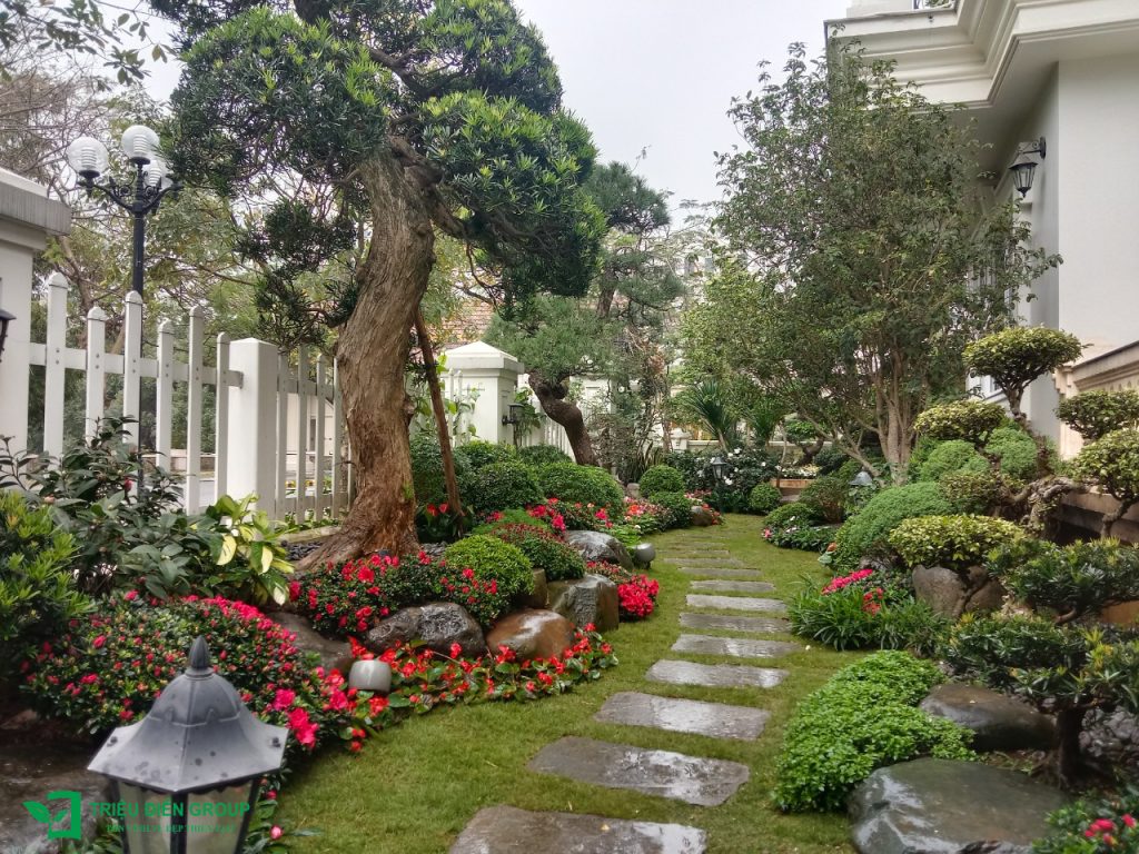 5 Phong cách trang trí sân vườn ngày Tết xu hướng 2026 19 Thiết kế thi công sân vườn trọn gói tại hà nội