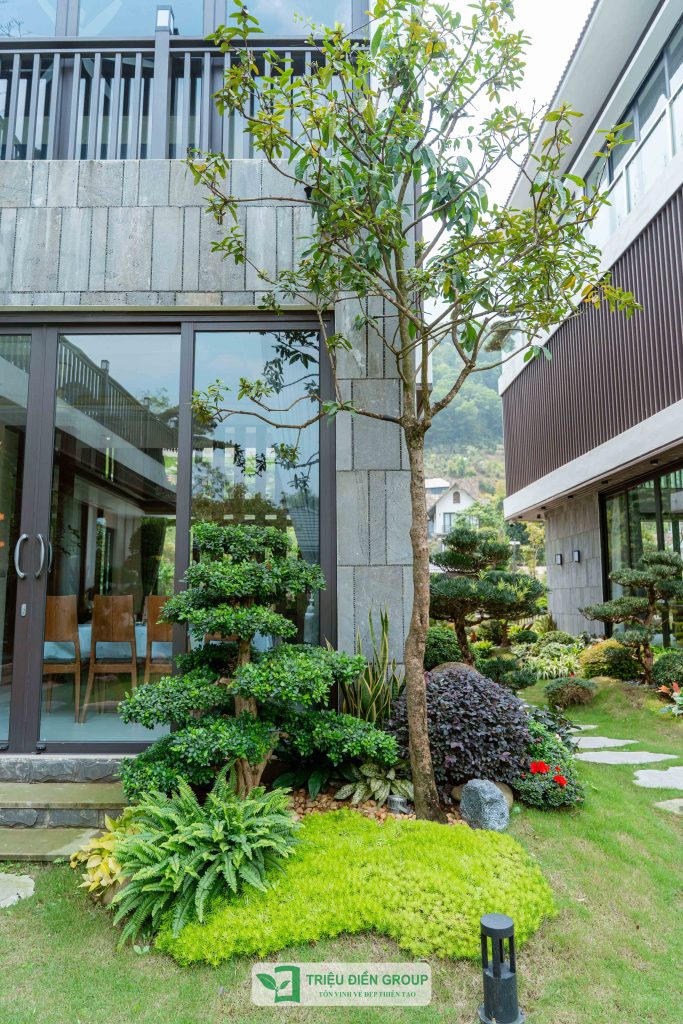 Thiết kế thi công sân vườn trọn gói tại hà nội