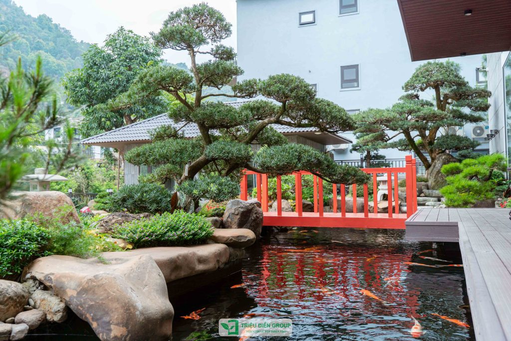 Thiết kế thi công sân vườn trọn gói tại hà nội