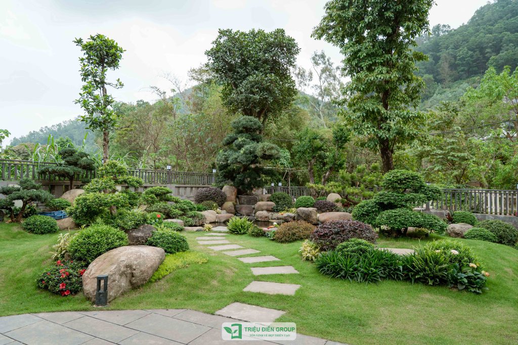 Thiết kế thi công sân vườn trọn gói tại hà nội