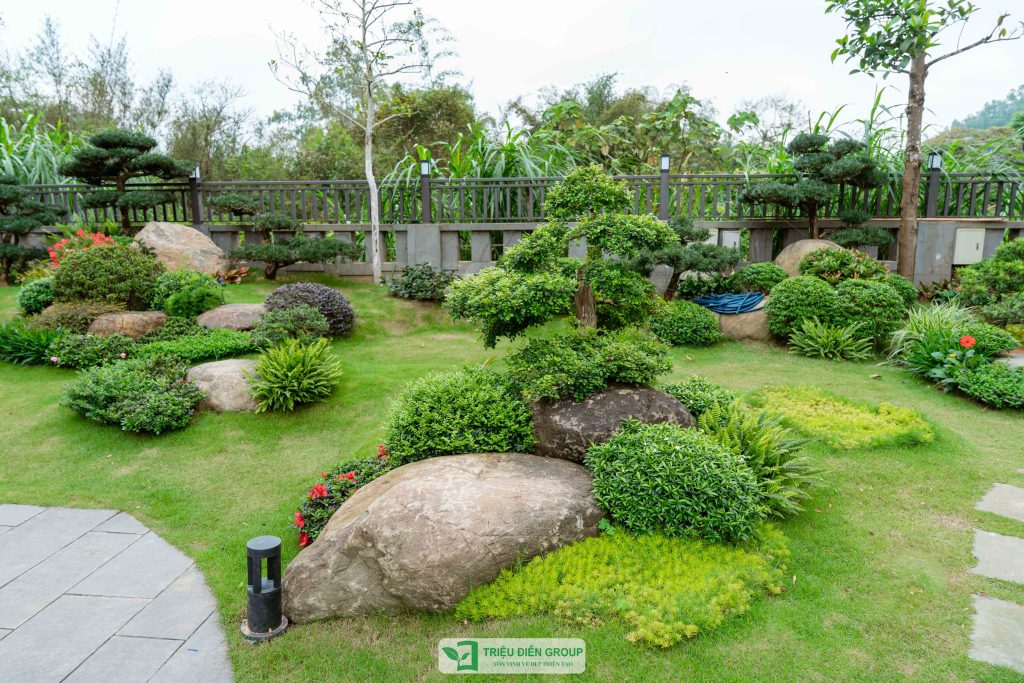 Thiết kế thi công sân vườn trọn gói tại hà nội