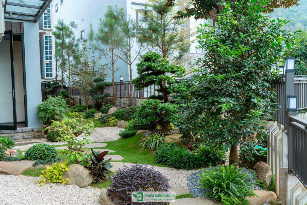 Thiết kế thi công sân vườn trọn gói tại hà nội