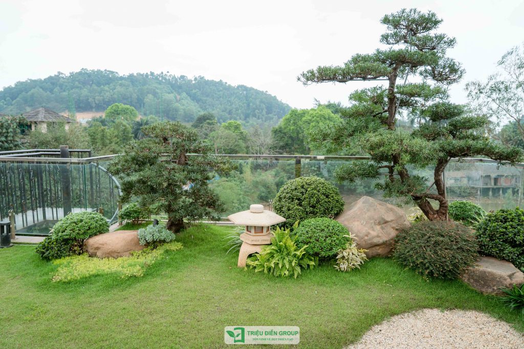 Thiết kế thi công sân vườn trọn gói tại hà nội