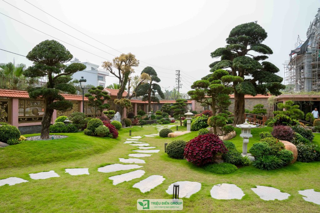 5 Phong cách trang trí sân vườn ngày Tết xu hướng 2026 12 Thiết kế thi công sân vườn trọn gói tại hà nội