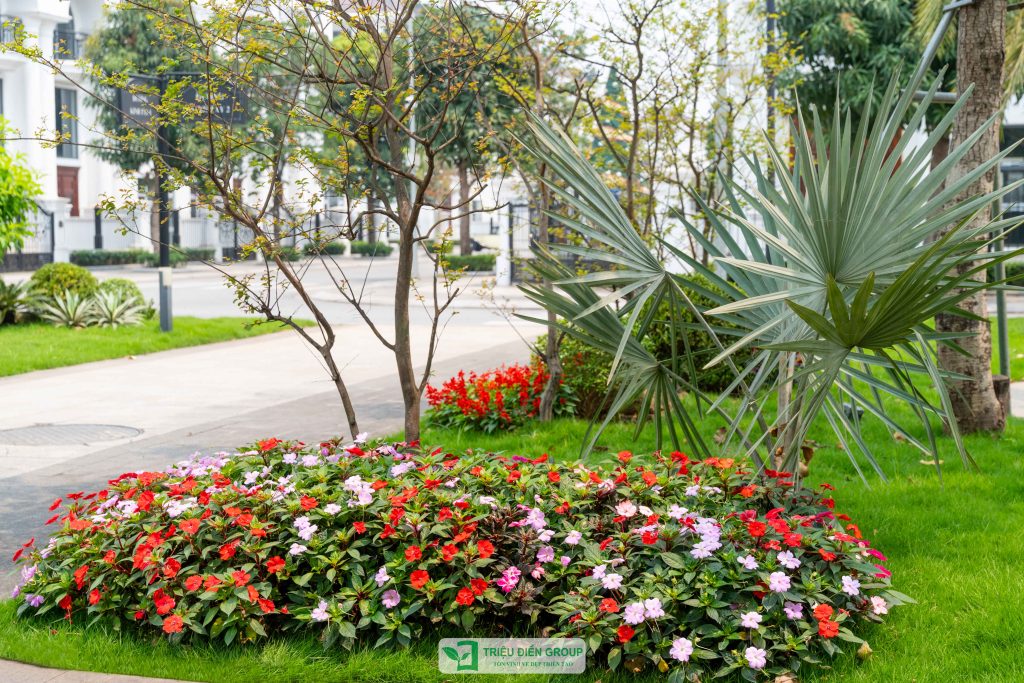 Mẫu sân vườn biệt thự tam lập đẹp: Dự án Mạnh Đức Victory nổi bật với thiết kế tinh tế & giàu cảm xúc 6 Thiết kế thi công sân vườn trọn gói tại hà nội