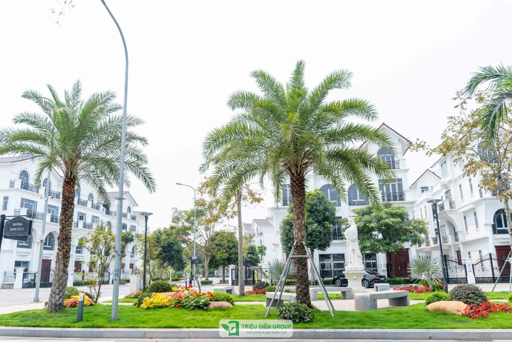 Mẫu sân vườn biệt thự tam lập đẹp: Dự án Mạnh Đức Victory nổi bật với thiết kế tinh tế & giàu cảm xúc 4 Thiết kế thi công sân vườn trọn gói tại hà nội