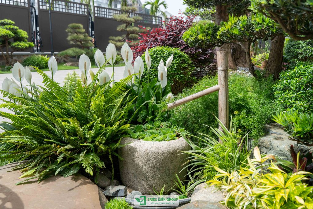 Mẫu sân vườn biệt thự tam lập đẹp: Dự án Mạnh Đức Victory nổi bật với thiết kế tinh tế & giàu cảm xúc 24 Thiết kế thi công sân vườn trọn gói tại hà nội