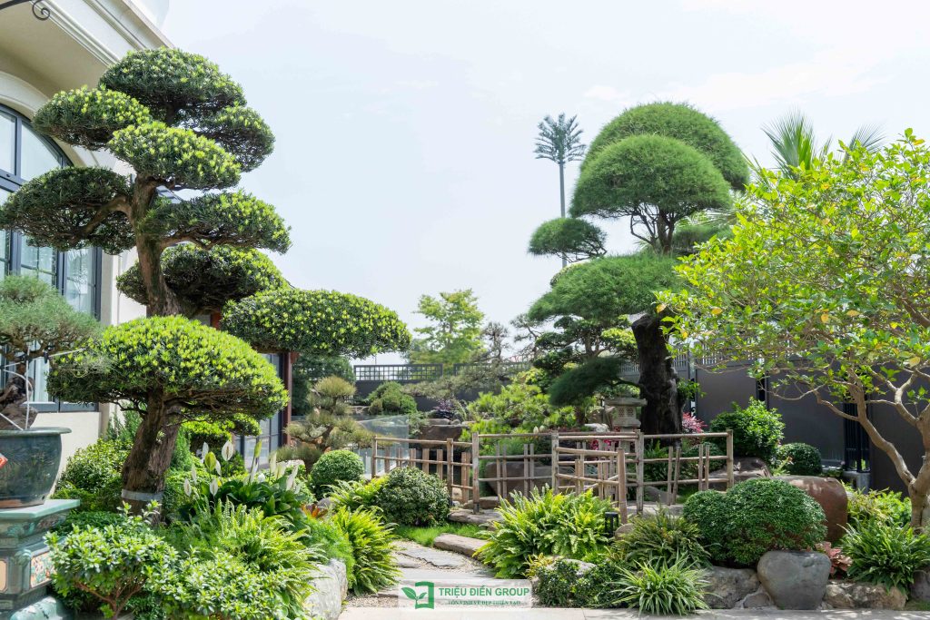 Mẫu sân vườn biệt thự tam lập đẹp: Dự án Mạnh Đức Victory nổi bật với thiết kế tinh tế & giàu cảm xúc 22 Thiết kế thi công sân vườn trọn gói tại hà nội