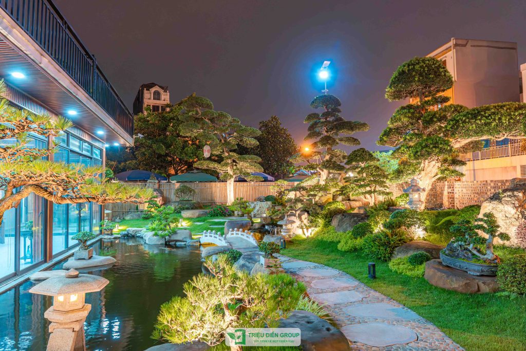 5 Phong cách trang trí sân vườn ngày Tết xu hướng 2026 15 Thiết kế thi công sân vườn trọn gói tại hà nội