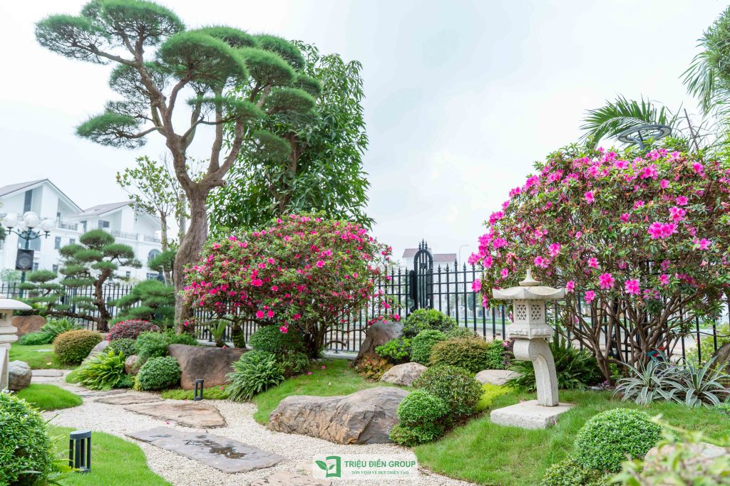 Mẫu sân vườn biệt thự tam lập đẹp: Dự án Mạnh Đức Victory nổi bật với thiết kế tinh tế & giàu cảm xúc 12 Thiết kế thi công sân vườn trọn gói tại hà nội