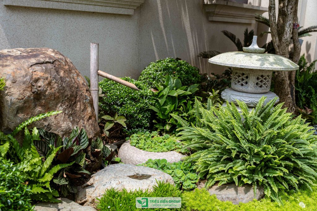 Mẫu sân vườn biệt thự tam lập đẹp: Dự án Mạnh Đức Victory nổi bật với thiết kế tinh tế & giàu cảm xúc 15 Thiết kế thi công sân vườn trọn gói tại hà nội