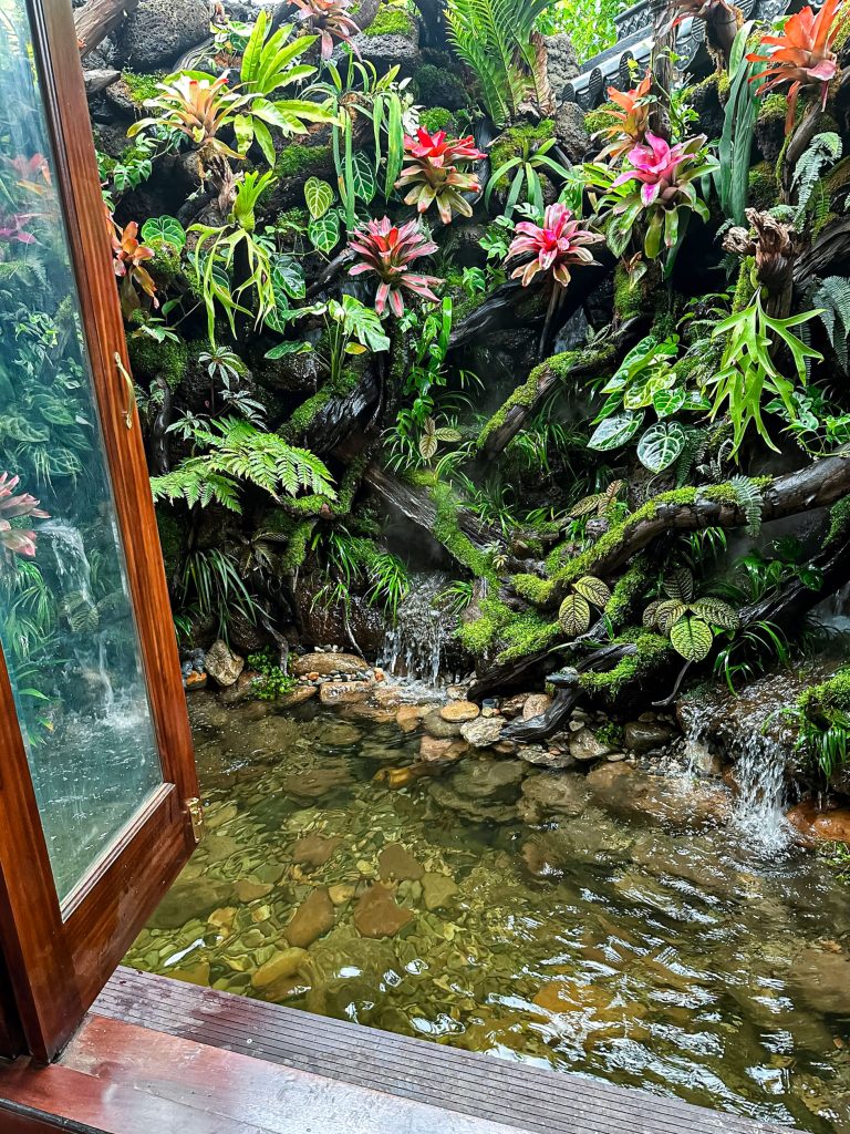 Thi công sân vườn tại T.P Hồ Chí Minh trọn gói - Báo giá chi tiết 2026 21 Thiết kế thi công sân vườn trọn gói tại hà nội