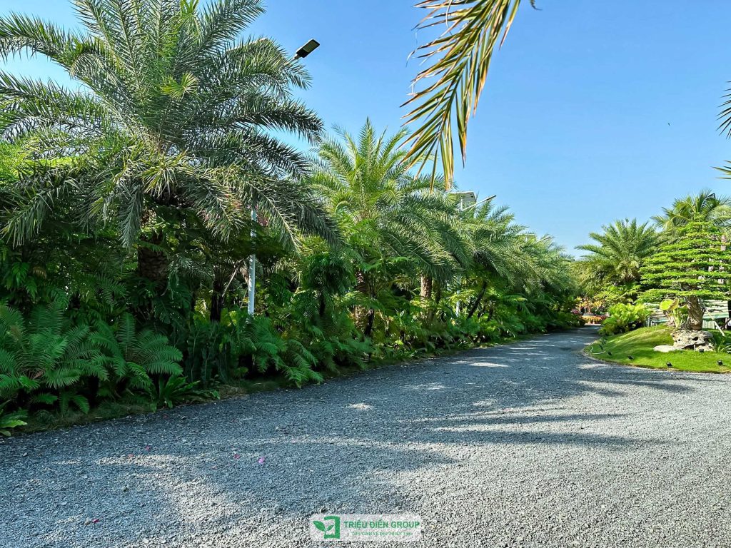 Thiết kế thi công sân vườn trọn gói tại hà nội