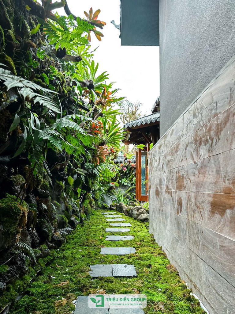 Thiết kế thi công sân vườn trọn gói tại hà nội