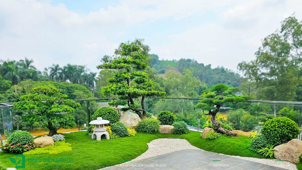 Thiết kế thi công sân vườn trọn gói tại hà nội