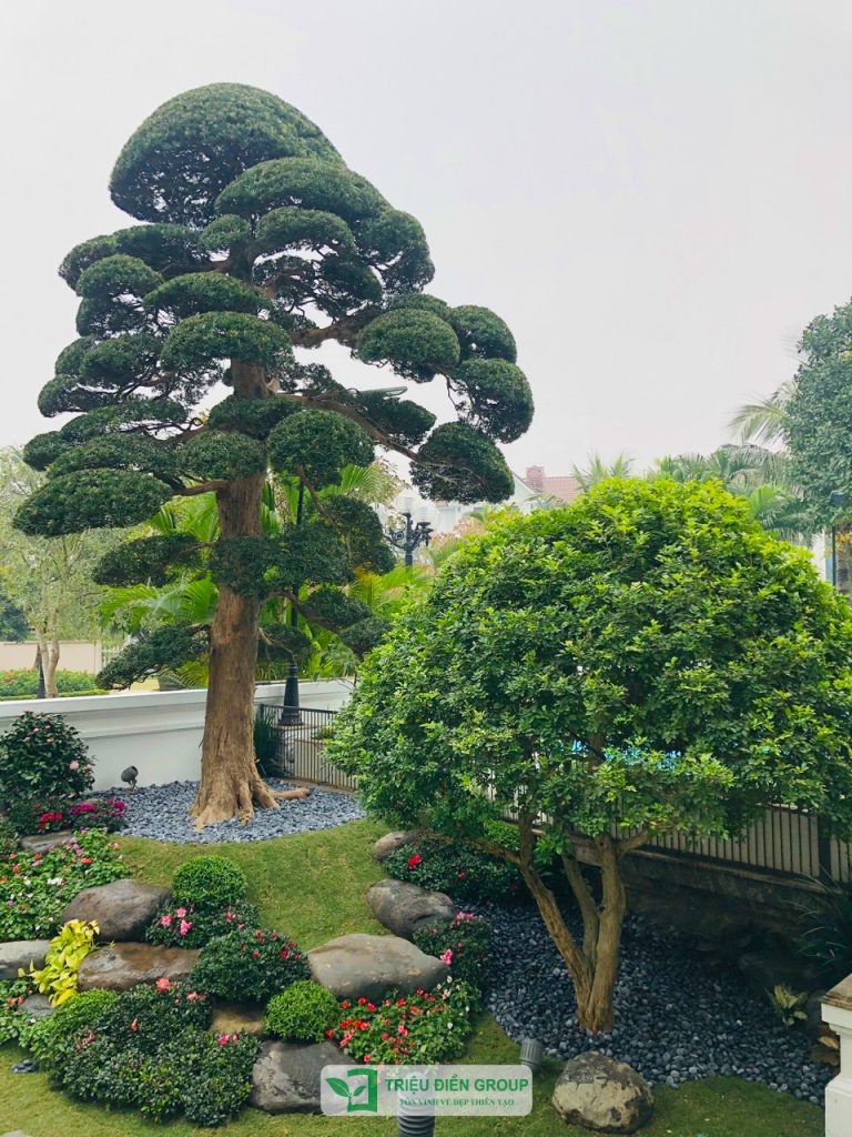 Thiết kế thi công sân vườn trọn gói tại hà nội