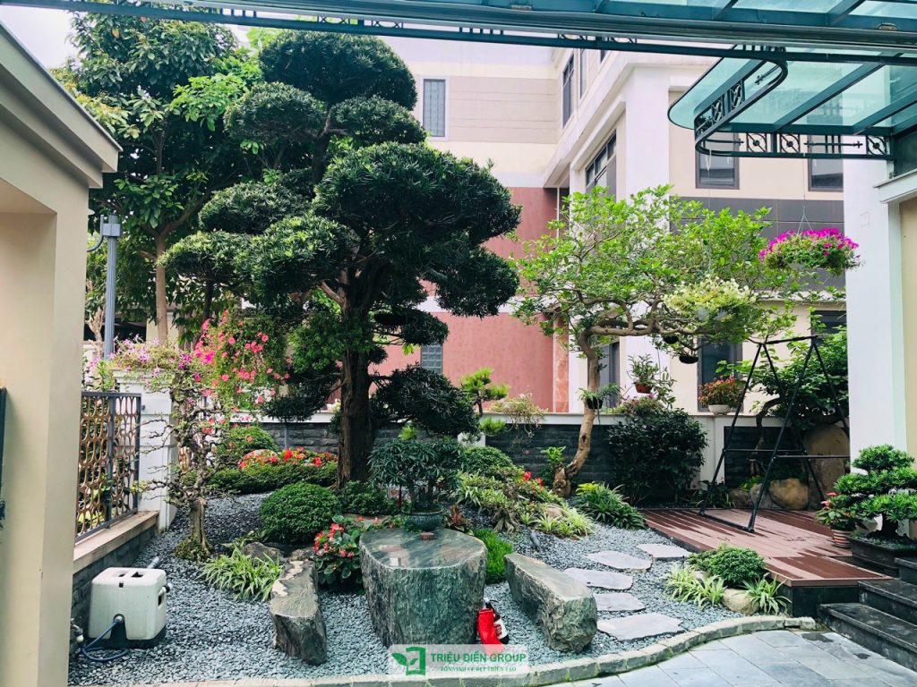 Thiết kế thi công sân vườn trọn gói tại hà nội