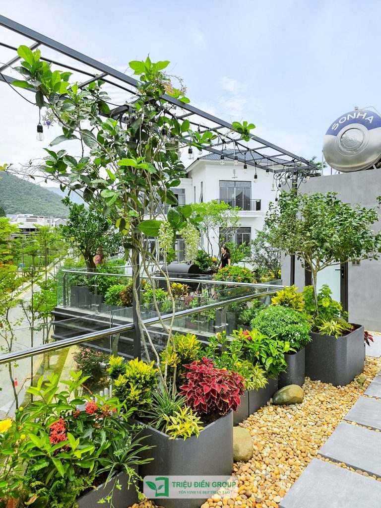 5 Phong cách trang trí sân vườn ngày Tết xu hướng 2026 23 Thiết kế thi công sân vườn trọn gói tại hà nội