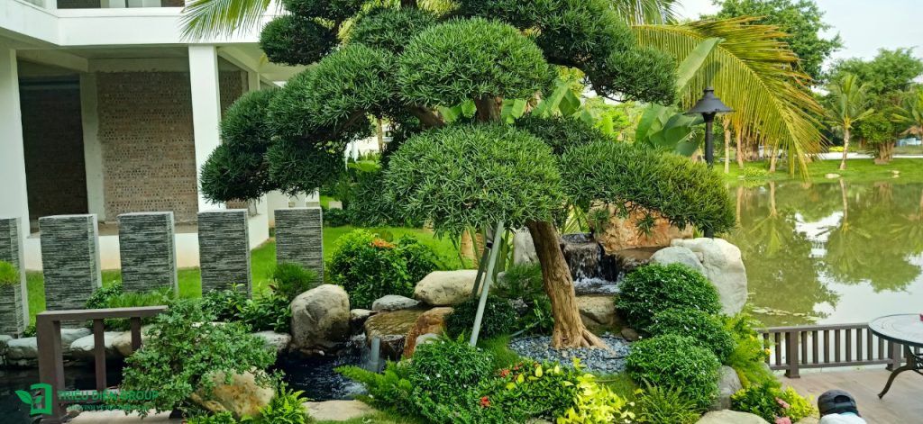 Giải pháp thiết kế sân vườn biệt thự đẹp tại Ecopark – Tinh tế, hiện đại và khác biệt 15 Thiết kế thi công sân vườn trọn gói tại hà nội