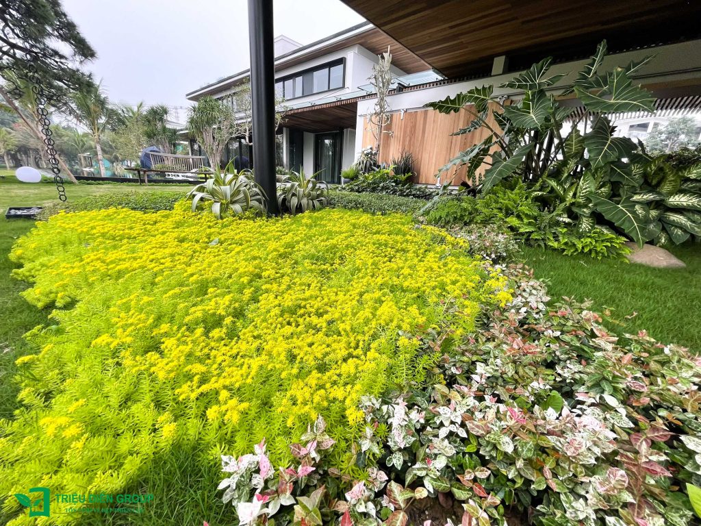 Giải pháp thiết kế sân vườn biệt thự đẹp tại Ecopark – Tinh tế, hiện đại và khác biệt 28 Thiết kế thi công sân vườn trọn gói tại hà nội