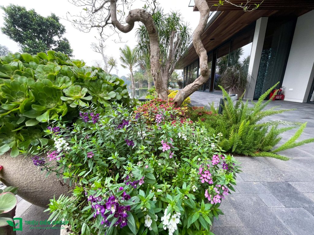 Giải pháp thiết kế sân vườn biệt thự đẹp tại Ecopark – Tinh tế, hiện đại và khác biệt 32 Thiết kế thi công sân vườn trọn gói tại hà nội